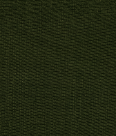 Denim coton lin vert