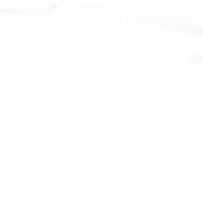 Popeline blanche stretch